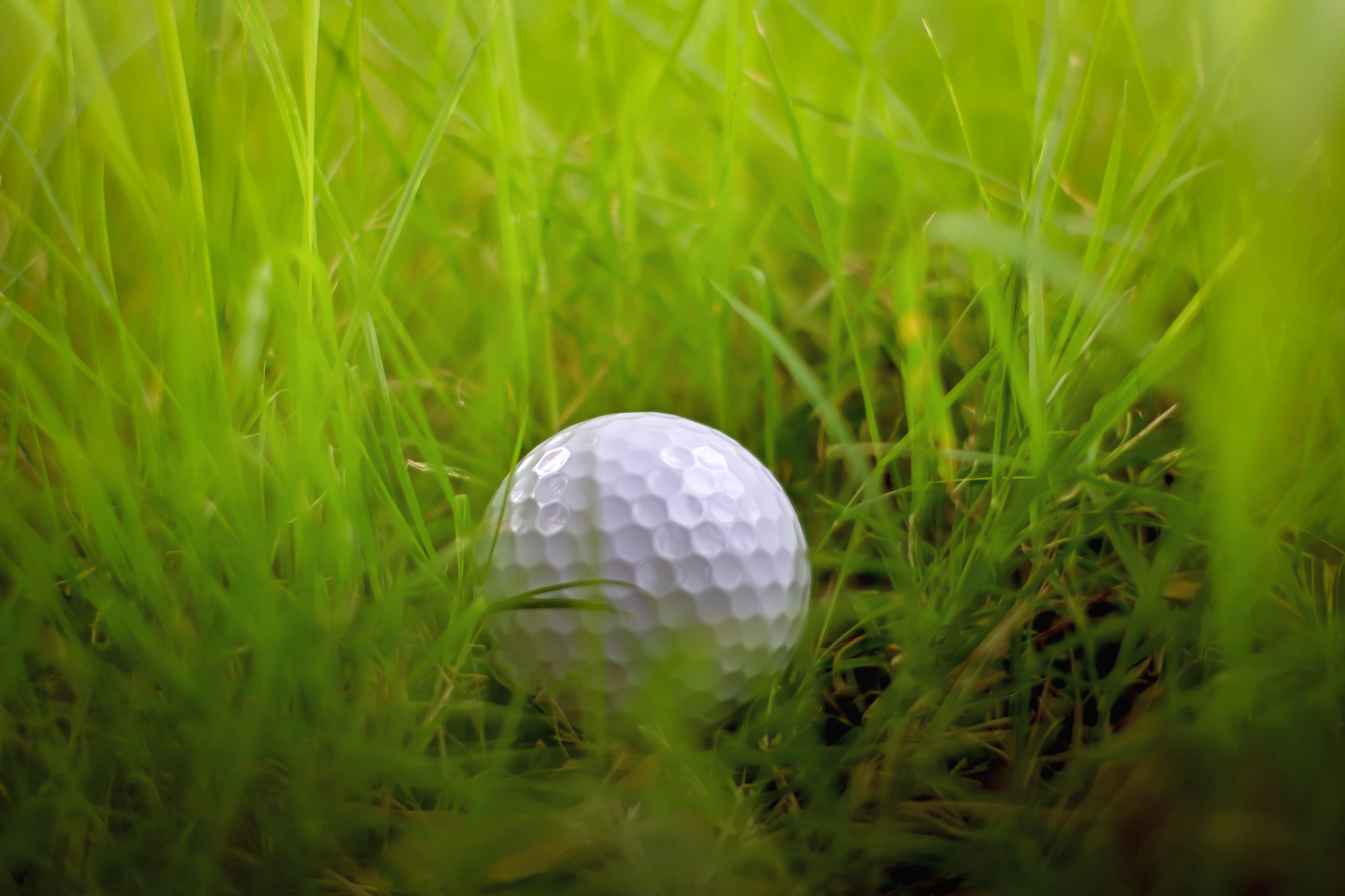 Understanding golf rules for a lost ball 