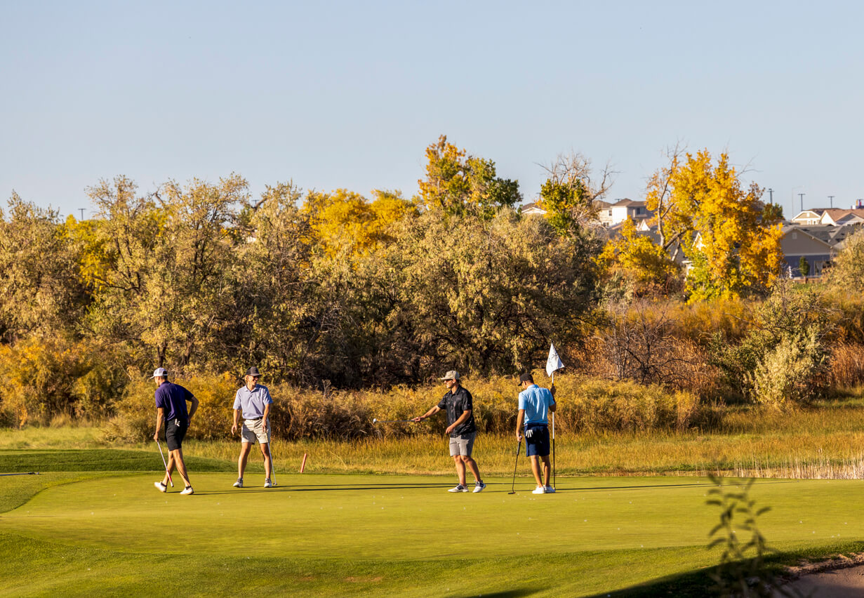 What is a wolf golf game?